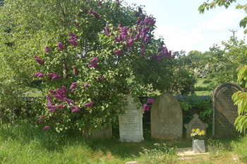 Saint Marys graveyard May 2008
